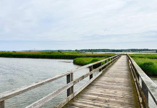 24-06-21 13-54-50 9751